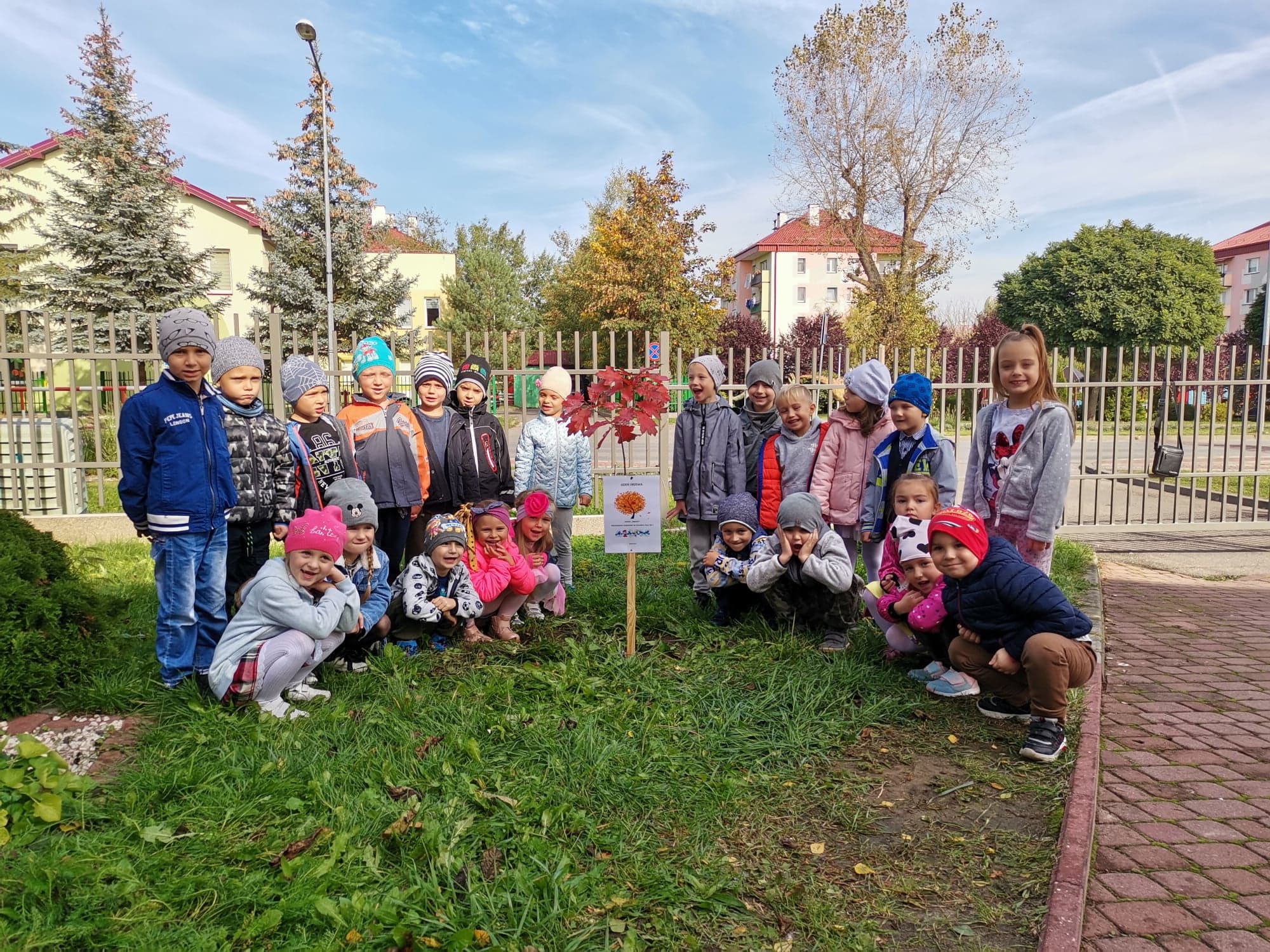 Dzien Drzewa Filia Nr 1