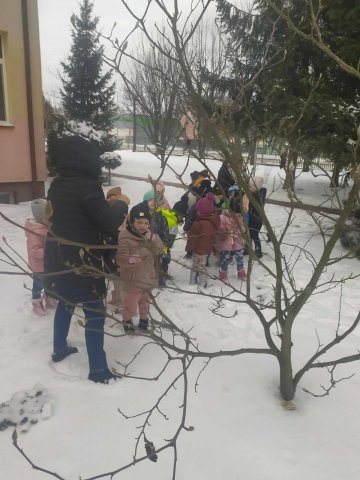 11. Pomagamy ptakom zimą