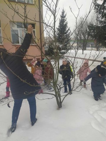 11. Pomagamy ptakom zimą