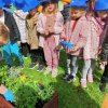 „Zielone ogródki przedszkolaków” 2023