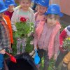 „Zielone ogródki przedszkolaków” 2023