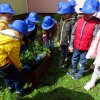 „Zielone ogródki przedszkolaków” 2023