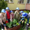 „Zielone ogródki przedszkolaków” 2023