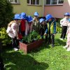 „Zielone ogródki przedszkolaków” 2023