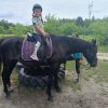 047 Wioska Appaloosa