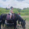 047 Wioska Appaloosa