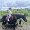 047 Wioska Appaloosa