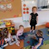 19 Dzień dyni