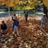4. PROJEK Lecą na głowę liście kolorowe