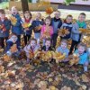 4. PROJEK Lecą na głowę liście kolorowe