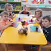 5 PROJEKT Szyszkowy zawrót głowy