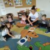 8 Dzień Kropki