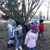 24 Kotki szukają przebiśniegów
