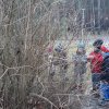 24 Kotki szukają przebiśniegów