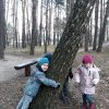 24 Kotki szukają przebiśniegów