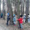 24 Kotki szukają przebiśniegów