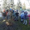 24 Kotki szukają przebiśniegów