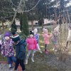 33 Pierwsze wiosenne kwiaty