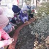 33 Pierwsze wiosenne kwiaty