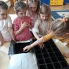 37 Zakładamy zielony ogródek