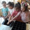 37 Zakładamy zielony ogródek