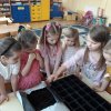 37 Zakładamy zielony ogródek