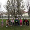 41 Sprzątamy Połaniec
