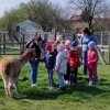 43 Wycieczka Wola Baranowska