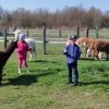 43 Wycieczka Wola Baranowska