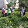 46 Nasze wiosenne drzewo