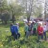 46 Nasze wiosenne drzewo