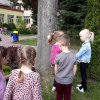 48 Tropem za niezapominajką