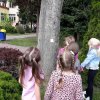 48 Tropem za niezapominajką
