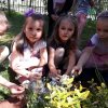 48 Tropem za niezapominajką