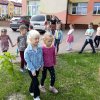 48 Tropem za niezapominajką