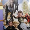 49 Świat dinozaurów