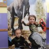 49 Świat dinozaurów