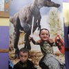 49 Świat dinozaurów