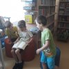 53 W bibliotece