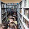 53 W bibliotece