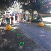 55 Piknik Kotków