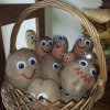 9 Jesienny kącik przyrody