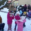 Kotki dokarmiają ptaki zimą