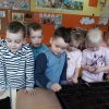 Zielony ogródek Kotków