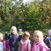 Pieczony Ziemniak