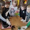 Dbamy o roślinki w naszej sali