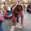 Dzień Pluszowego Misia