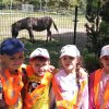 Jedziemy do ZOO - Lisów 