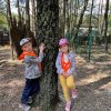 Jedziemy do ZOO - Lisów 