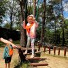 Jedziemy do ZOO - Lisów 